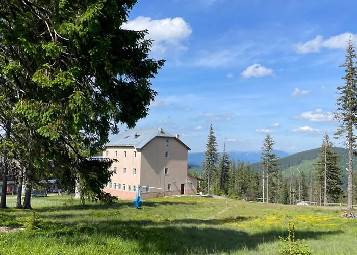 Оаза